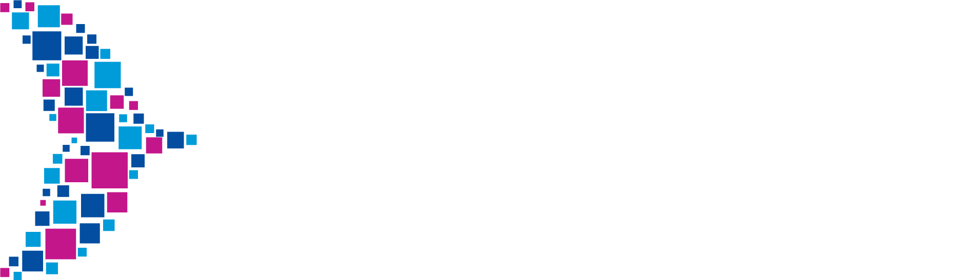 Dolphin Retail Media
